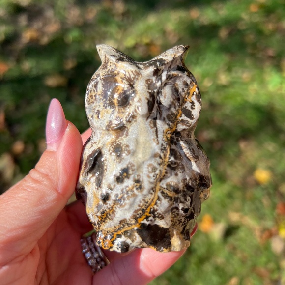 Picture jasper (1) owl craving | crystal - Picture 1 of 12